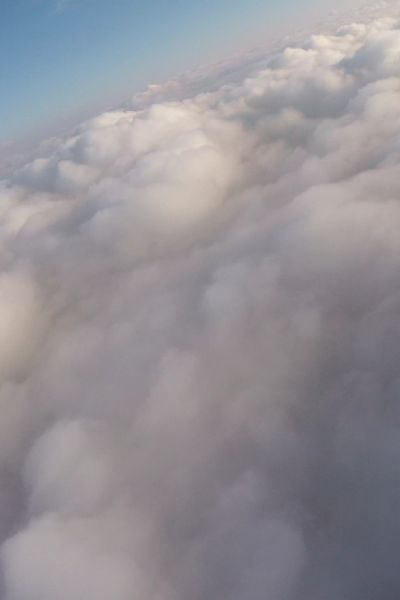 Wingsuit
